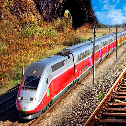 Euro Train Driving Simulation 3D: Free Train Games icon