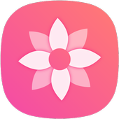 Gallery icon
