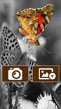 Splash Color Photo Effects Fx screenshot 1