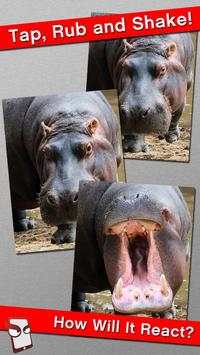 Angry Hippo Free! स्क्रीनशॉट 1