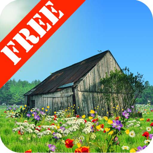 Midsummer Free LWP 1.02