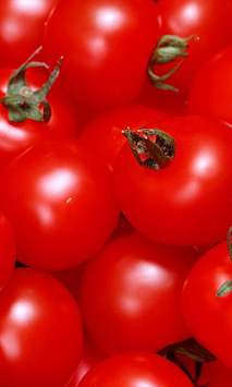 Tomatoes Wallpapers screenshot 3