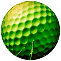 Mini Golf Arena With Your Friends