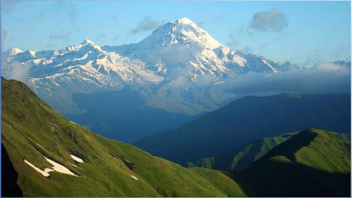 BF Nature Images screenshot 7