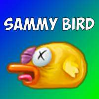 Sammy bird
