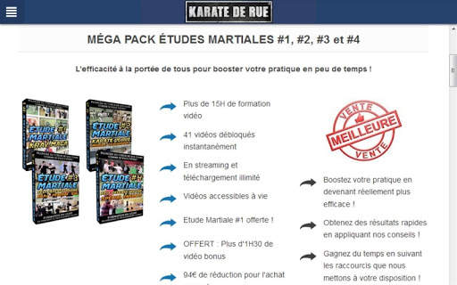 Karaté de Rue screenshot 3