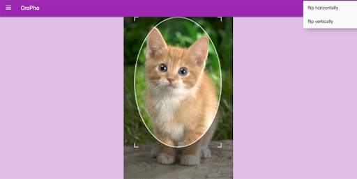 Free Photo Editor screenshot 11