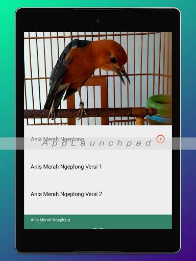 Kicau Burung Terlengkap screenshot 22