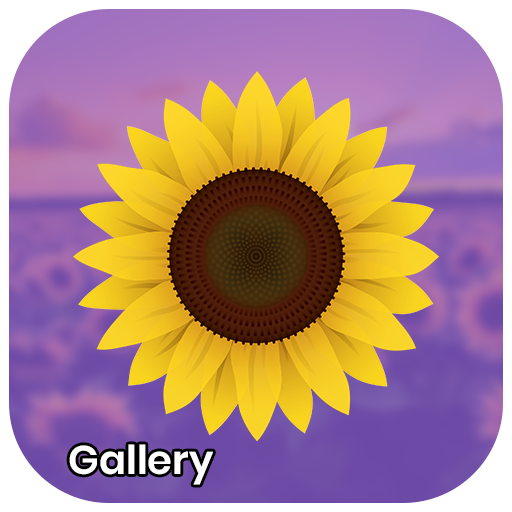 ikon Gallery - Photo and Video Player