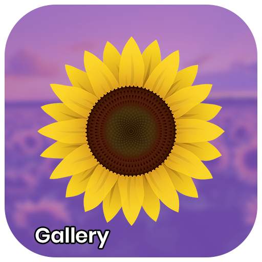 Gallery - Photo and Video Player 2.0