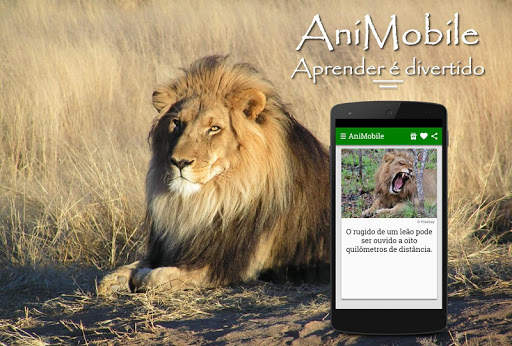 Curiosidades Animais Incríveis screenshot 7