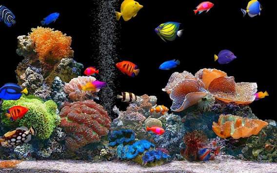 Aquarium HD Wallpaper screenshot 5