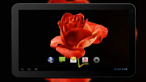 4K Red Rose Video Live Wallpaper screenshot 5