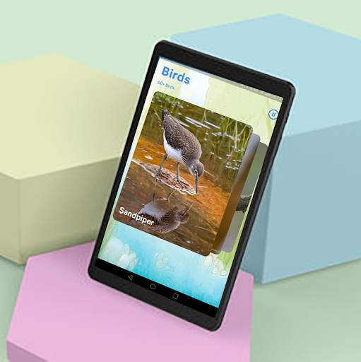 Bird Sounds screenshot 7