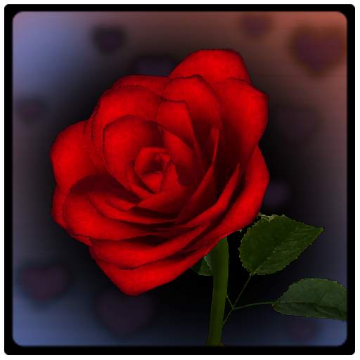 3D Rose Bouquet LWP Free 1.03