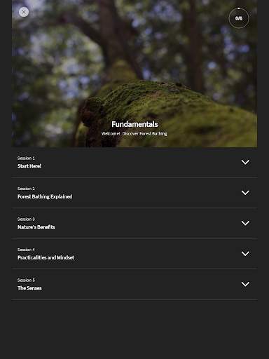 Forest Bathing Life screenshot 8