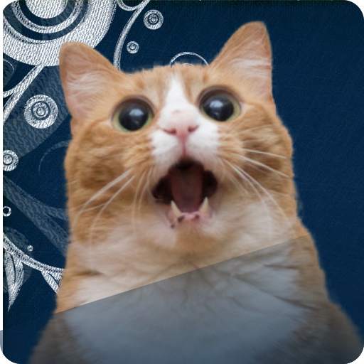 Cats Game: Memory 1.0.2
