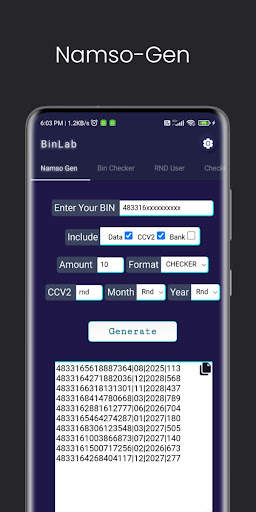 BinLab - Namso-Gen, CC checker screenshot 2