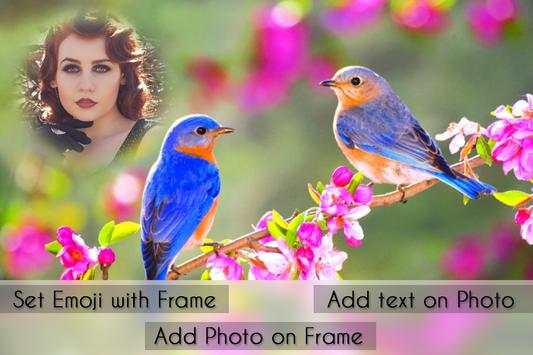 Birds Photo Frames screenshot 3