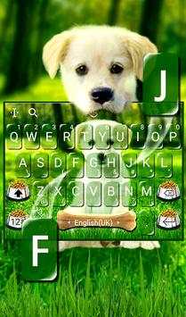 Innocent Cute Puppy Keyboard Theme screenshot 3