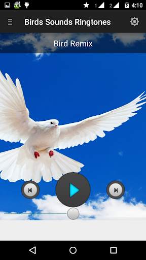 Birds sounds ringtones best screenshot 2