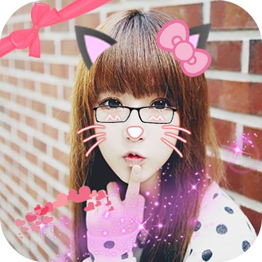Cat Face Editor 1.8
