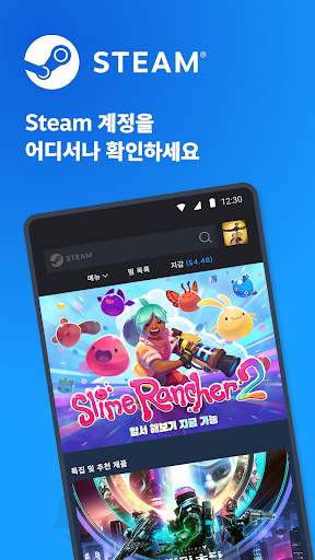 Steam screenshot 1