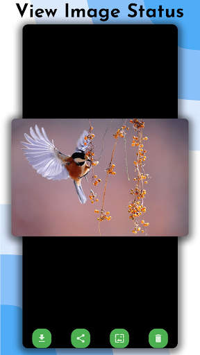 Story Saver, Video Downloader screenshot 5