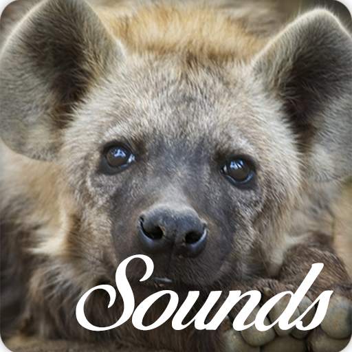 Hyena Sounds and Ringtone Audio 4.0.0