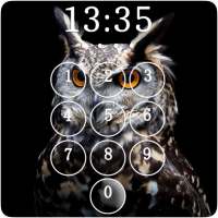 Owl Lock Screen & Wallpaper
