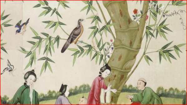 Chinese Video Status screenshot 2