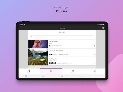 Blackboard Learn screenshot 15