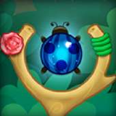 Woodland Bubble