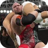 Guide For WWE SuperCards 2k 1.0