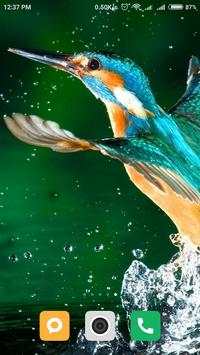 Bird wallpaper screenshot 5