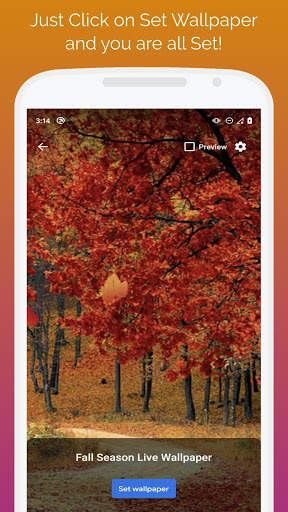 🍁🍁Fall Season 3D Live Wallpaper🍂🍂 screenshot 4