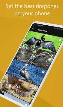 Bird call screenshot 8