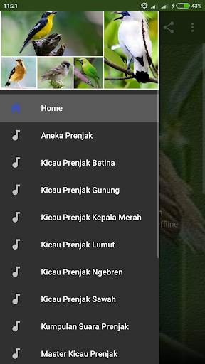 Suara Burung Prenjak Betina Pikat screenshot 1