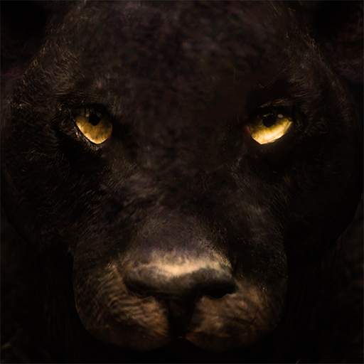 Ultimate Panther Simulator 0.1