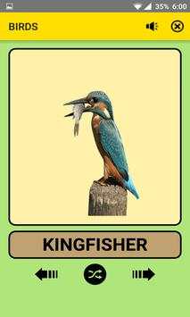 Animals and Birds For Kids : Educational Game screenshot 4