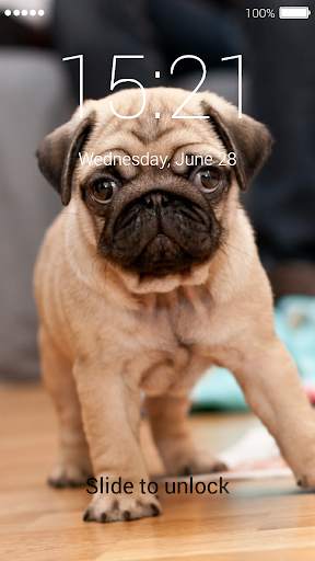 Cute Puppy Lock Screen screenshot 6