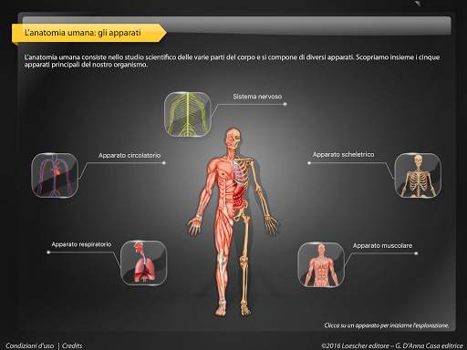 APPunti di anatomia-Lite screenshot 3
