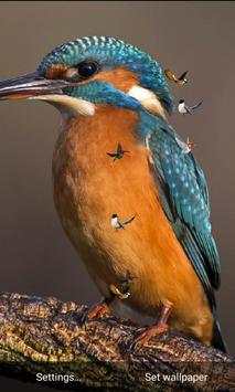 J7 HD Birds Live Wallpaper screenshot 8
