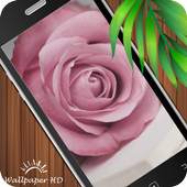 Rose Wallpaper HD 2.0