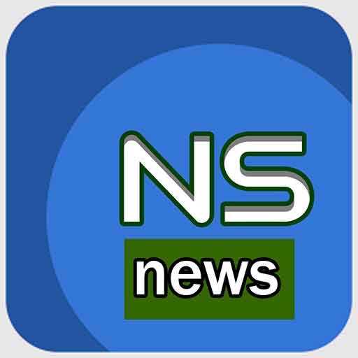 NS icon