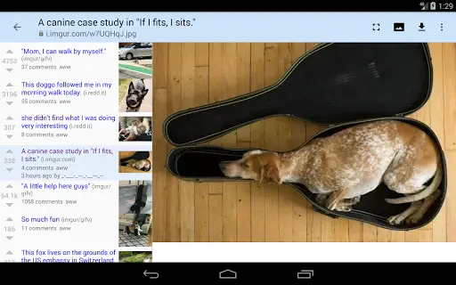 rif is fun for Reddit screenshot 7