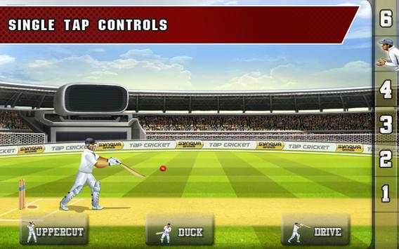 Tap Cricket 2013 screenshot 7
