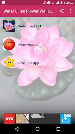 Water Lilies Flower Wallpaper screenshot 1