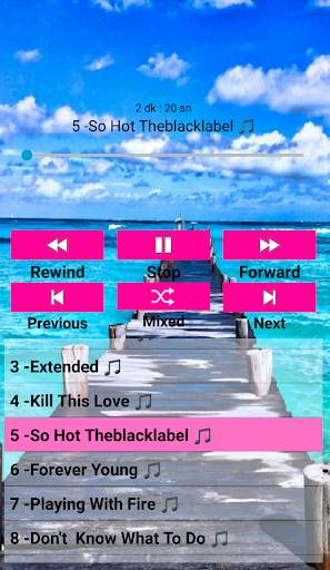 Blackpink Songs Offline screenshot 1