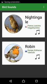 Bird Sounds screenshot 3
